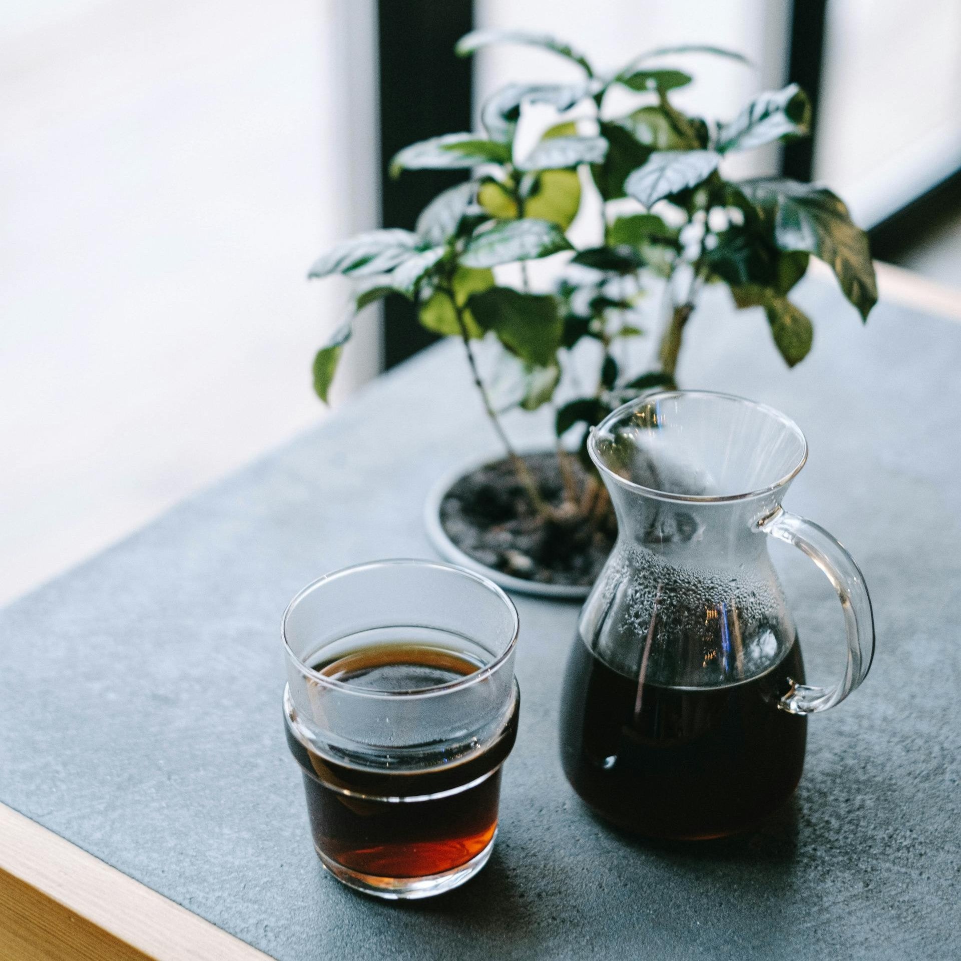 Buy Cafe Pots in Brisbane, Gold Coast, Logan & Sunshine Coast