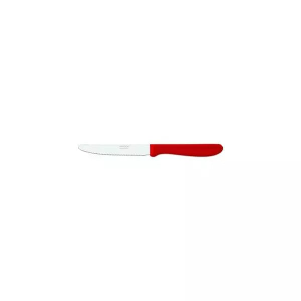 PARING KNIFE-110mm RED HANDLE
