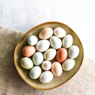 BOWL FLAT OVAL -260x230mm SANGO ORA