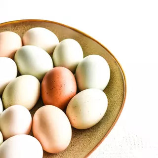 BOWL FLAT OVAL -260x230mm SANGO ORA