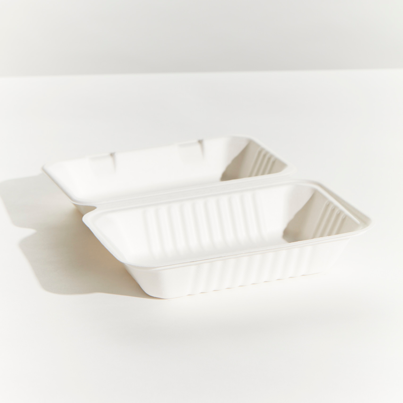 Sugarcane Large Snack Box - White