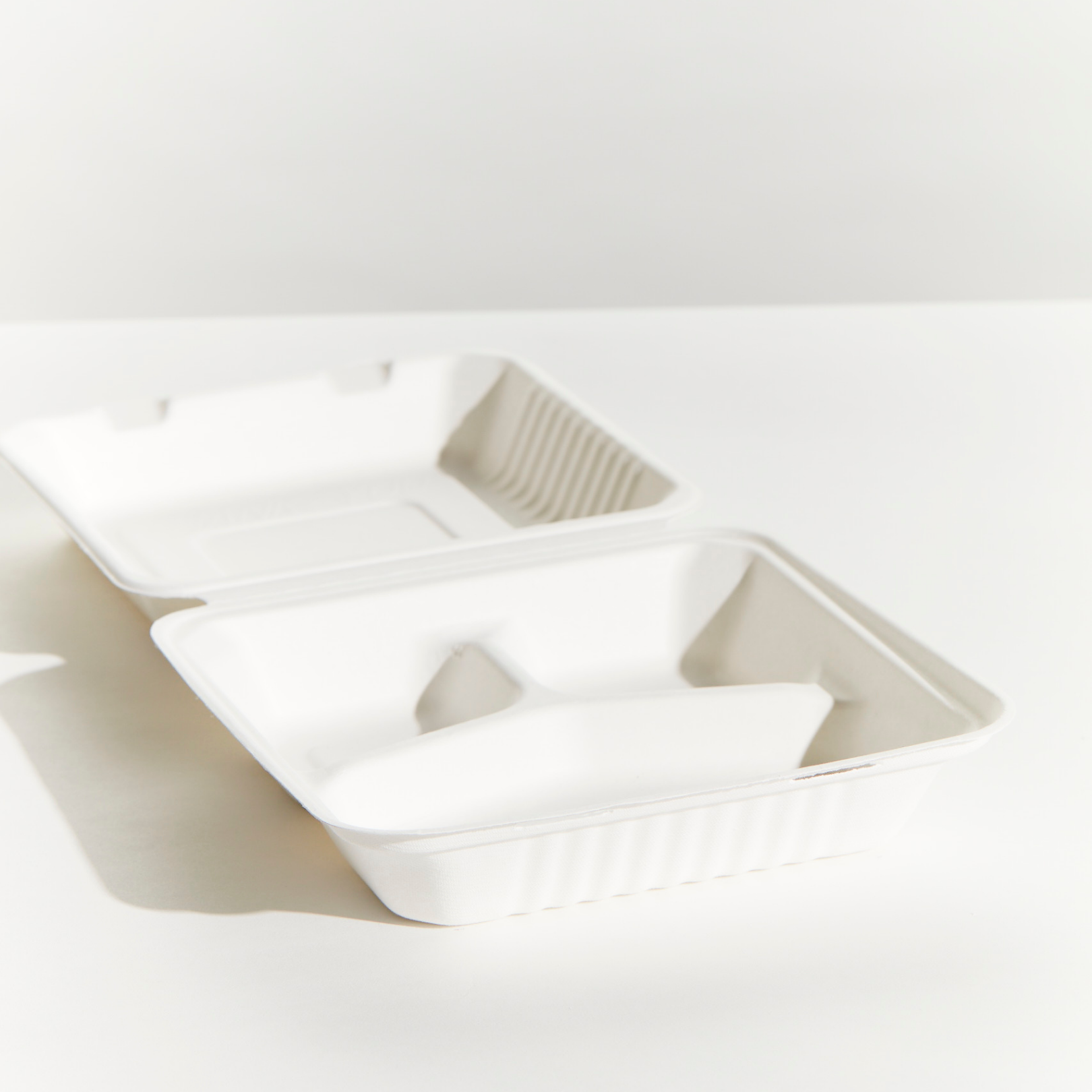 Sugarcane 3 Comp Large Dinner Box - White