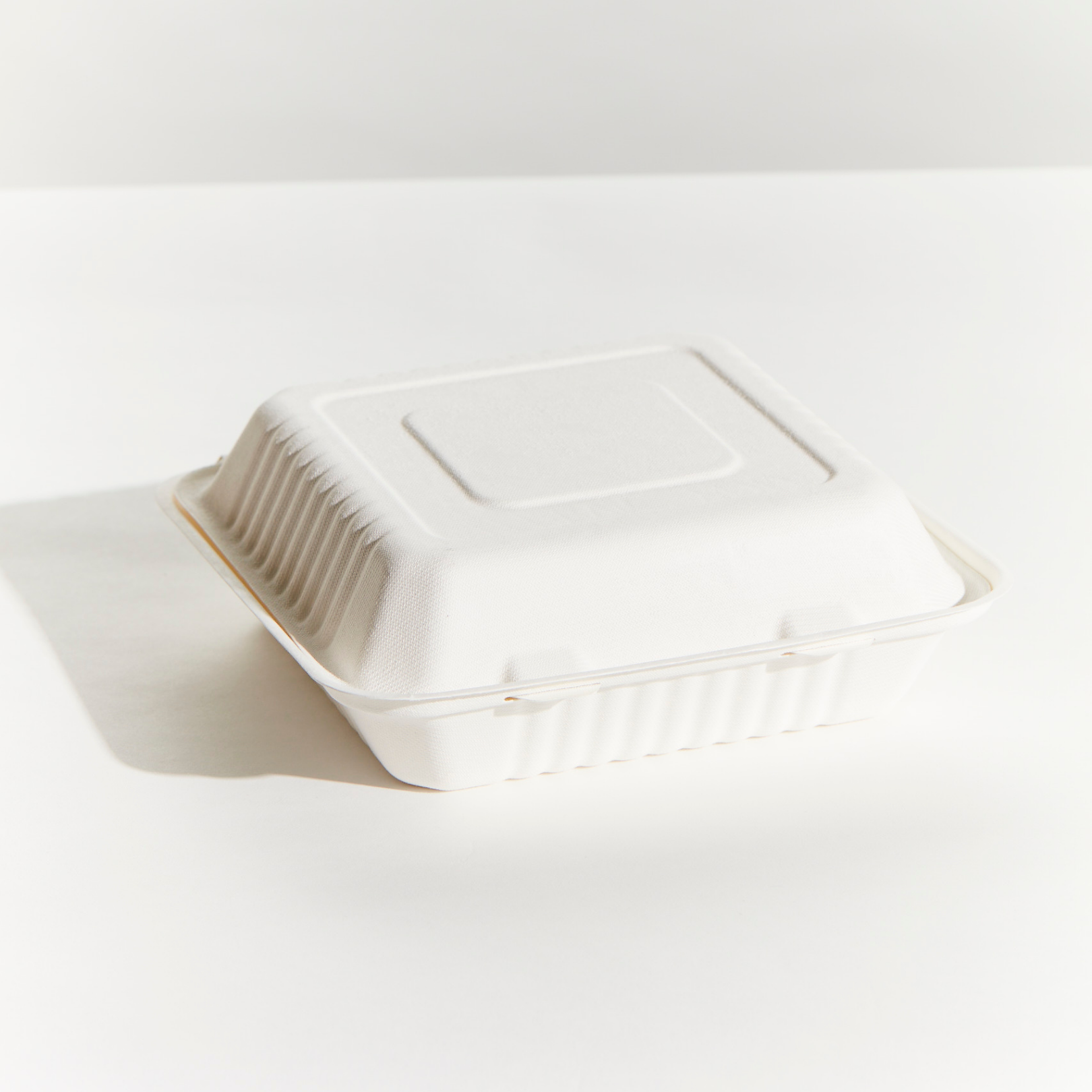 Sugarcane Large Dinner Box - White