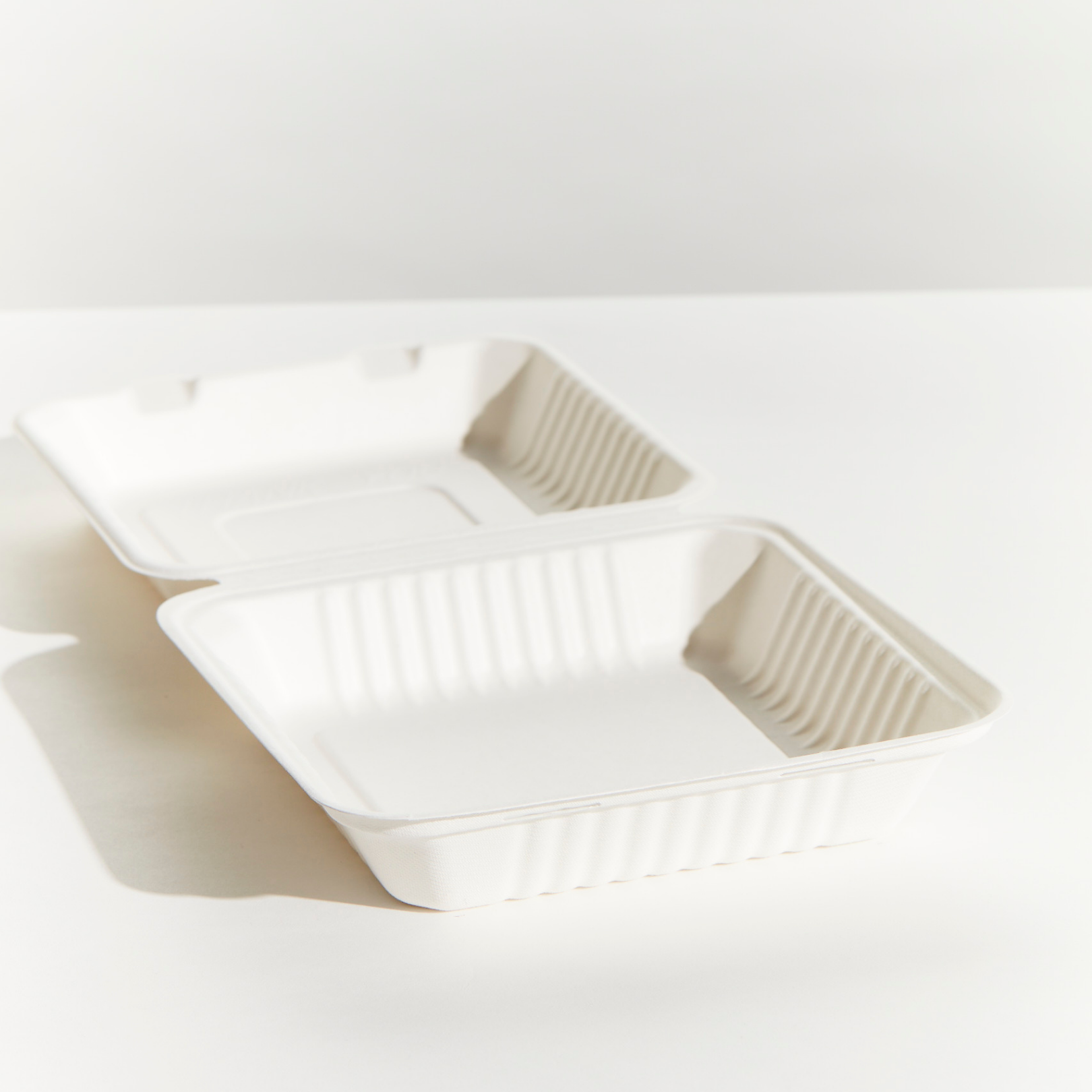 Sugarcane Large Dinner Box - White