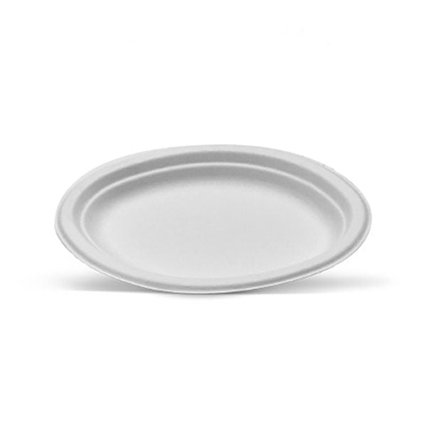 Sugarcane Oval Plate Large 252x317x25mm 50pcs
