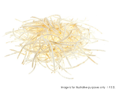 Dito Sama P4U Stainless Steel Shredding Disc 2mm DS650209
