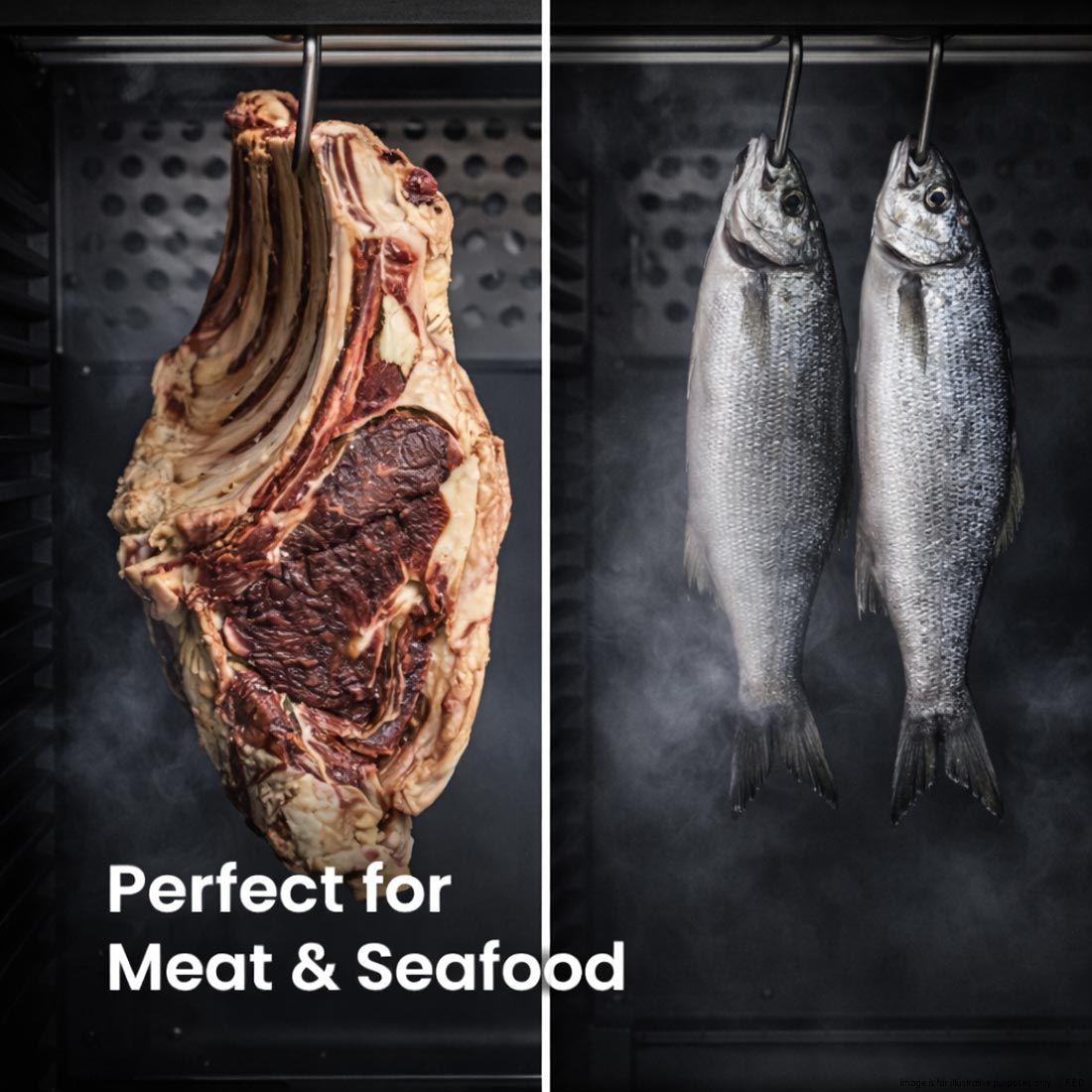 Thermaster Dry Aging Cabinet - MA400