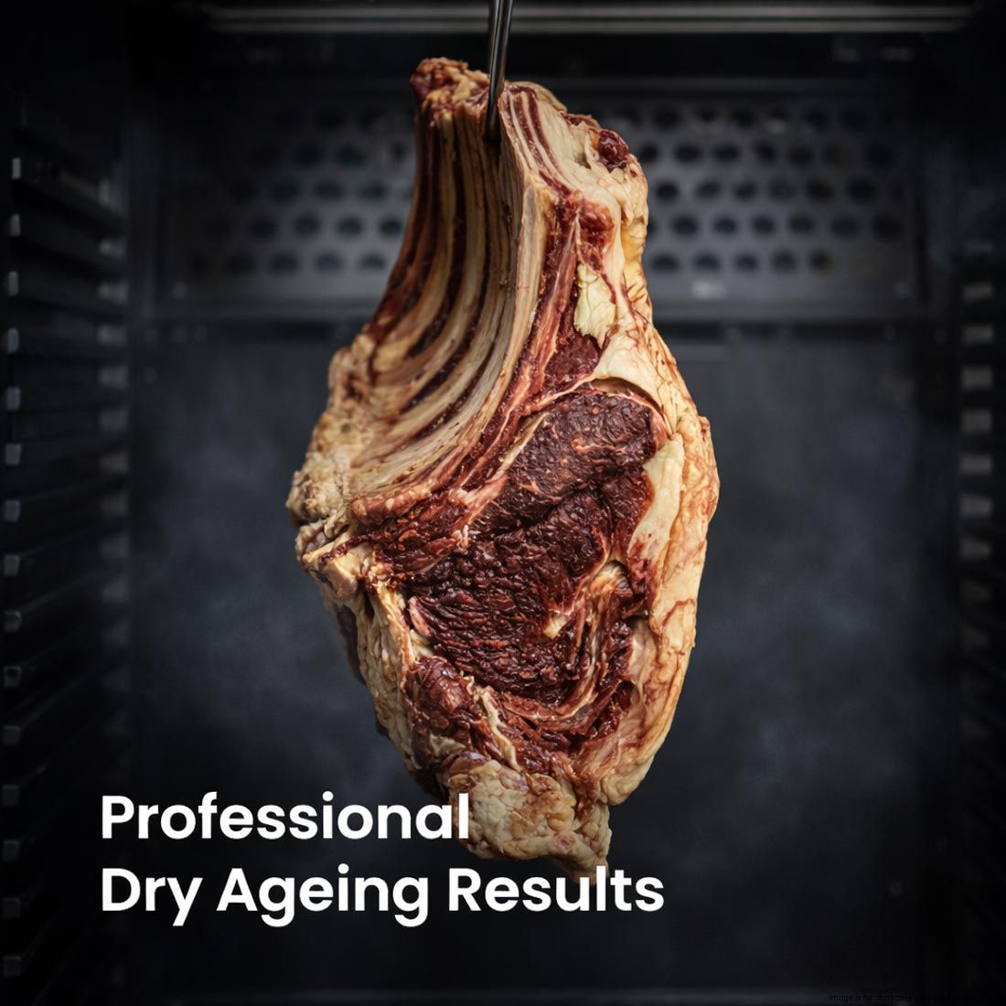 Thermaster Dry Aging Cabinet - MA400