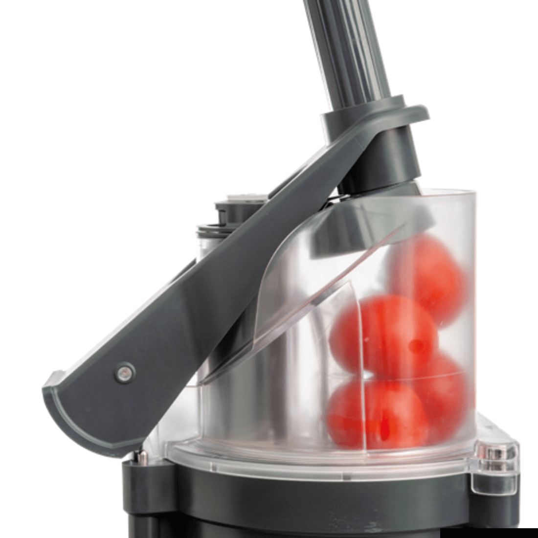 DITO SAMA PREP4YOU Combination Cutter/Slicer 1 Speed 2.6L Copolyester Bowl - P4U-PS201